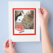 Valentine Tabby Cats Flyer (Hand)