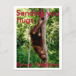 Valentine-Umarmung Postkarte