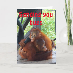 Valentine-Umarmungs-Orang-Utan Tier-Liebe Feiertagskarte