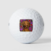Valentine Vizsla Golfball (Vorderseite)