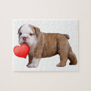 Valentiner Bulldogin Puzzle