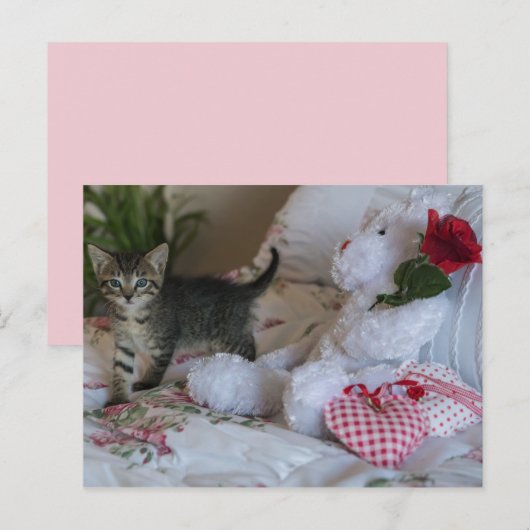 Valentinerküste Postkarte (Vorne/Hinten)