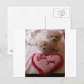 Valentines Babies Feiertagspostkarte (Vorne/Hinten)