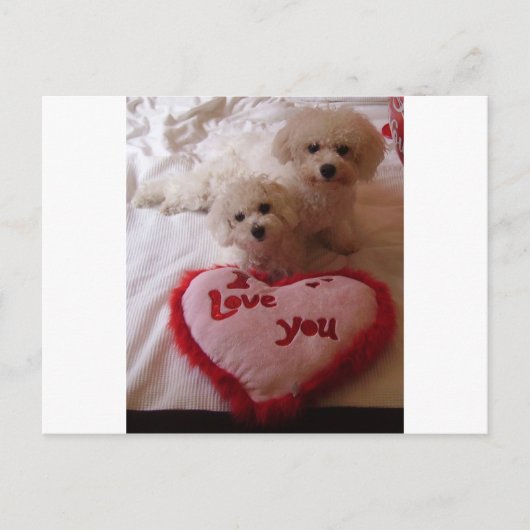 Valentines Babies Feiertagspostkarte (Vorderseite)
