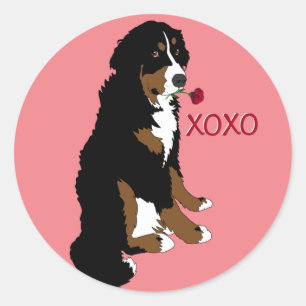 Valentines Bernese Mountain Dog Runder Aufkleber