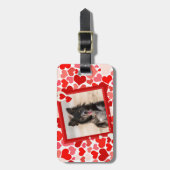 Valentines Border Collie Hunde Herz Gepäckanhänger (Vorderseite vertikal)