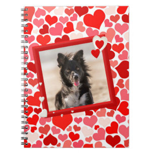 Valentines Border Collie Hunde Herz Notizblock