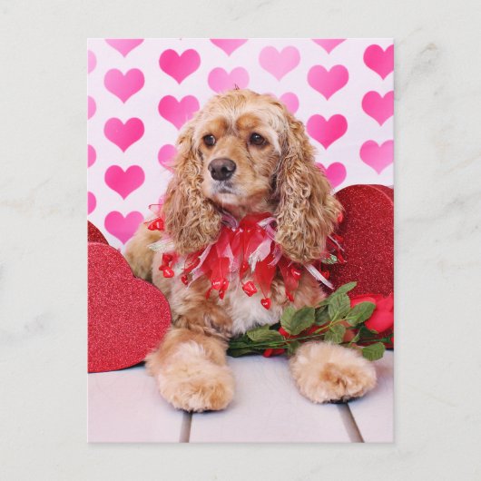 Valentines - Cocker Spaniel - Bella Feiertagspostkarte (Vorderseite)