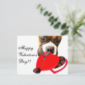 Valentine's Day Boxer Hundekarte Feiertagspostkarte (Stehend Vorderseite)