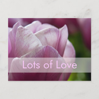 Valentine's Day Card | Valentinskarte Tulpen Feiertagspostkarte