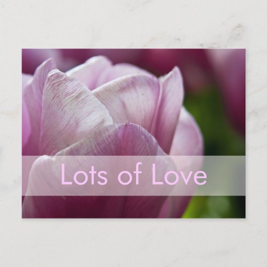 Valentine's Day Card | Valentinskarte Tulpen Feiertagspostkarte (Vorderseite)