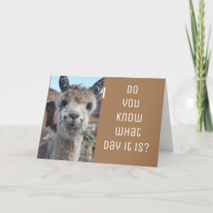 ***VALENTINE'S DAY CELEBRATE US*** KARTE