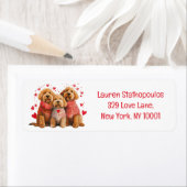 Valentines Day Goldendoodle Dogs (Insitu)