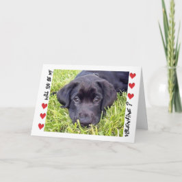 Valentine's Day Labrador Puppy Be Mine Feiertagskarte