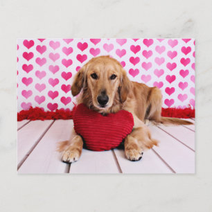 Valentines - Golden Retriever - JJ Feiertagspostkarte