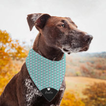 Valentines Heart Liebe Aquamariner Skriptname Pet 
