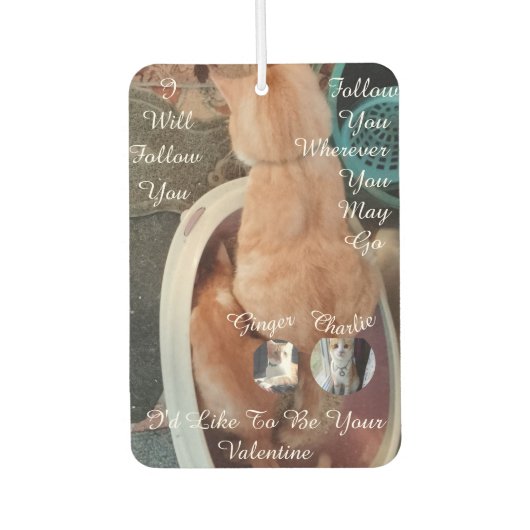 Valentine's Humor Cats Photo Text Autolufterfrischer (Vorderseite)