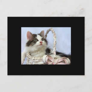 Valentine's Kitten ACEO Art Trading Card Feiertagspostkarte