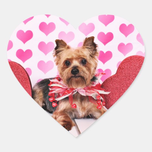 Valentines - Yorkie - Pixie Herz-Aufkleber (Vorderseite)