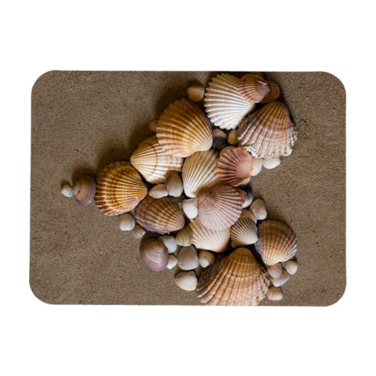 Valentinherz hergestellt mit Muscheln Magnet (Horizontal)