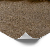 Valentinherz hergestellt mit Muscheln Poster (Ecke)