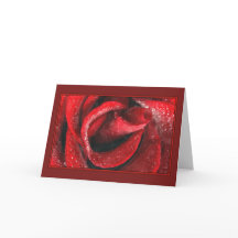 Valentinische gestrichene Rote Rose