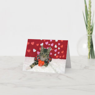 Valentinisches Herz des Bandit - Katze/Kätzchen-Ka Feiertagskarte