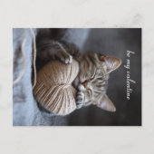 Valentinkatze Postkarte (Vorderseite)