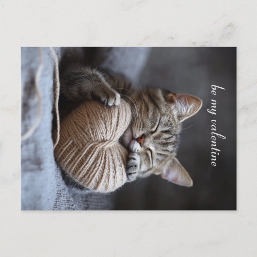 Valentinkatze Postkarte (Vorderseite)