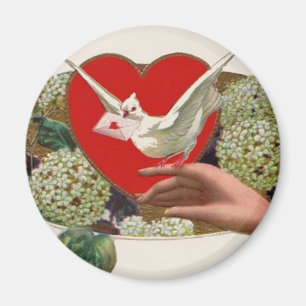 Valentinmeldung mit Taube Magnet