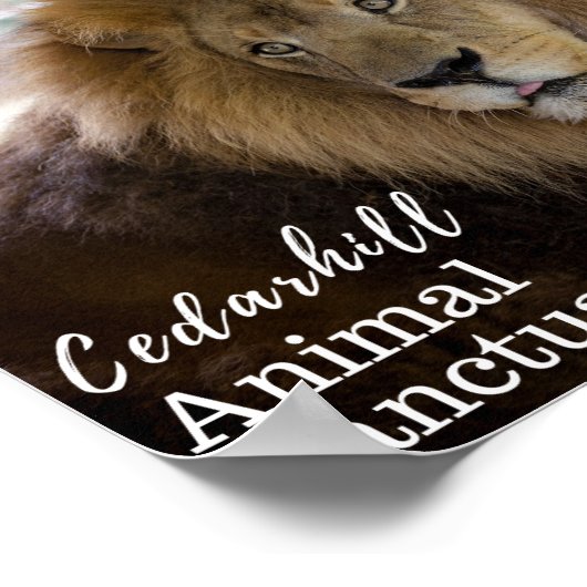 Valentino Poster (Ecke)