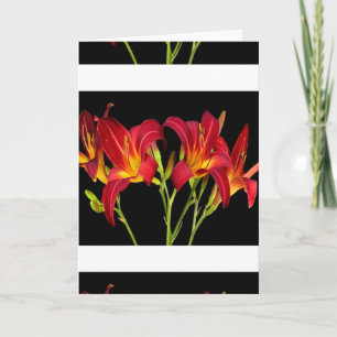 Valentins exotische Blume Romance Sinnliche Gesche Feiertagskarte