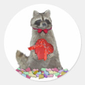 Valentins Waschbär Bandit Runder Aufkleber (Vorderseite)