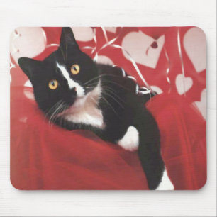 Valentinsgruß-Katze Mousepad