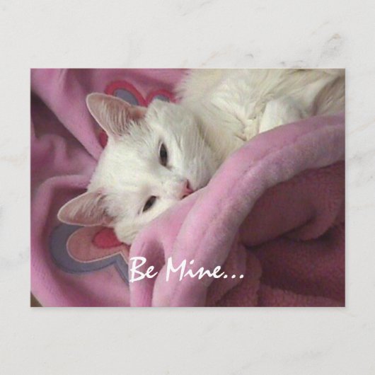 Valentinsgruß-Postkarte Feiertagspostkarte (Vorderseite)