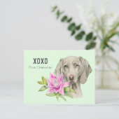 Valentinsgrußes Weimaraner HundXOXO | Feiertagspostkarte (Stehend Vorderseite)
