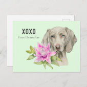 Valentinsgrußes Weimaraner HundXOXO | Feiertagspostkarte (Vorne/Hinten)