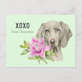Valentinsgrußes Weimaraner HundXOXO | Feiertagspostkarte