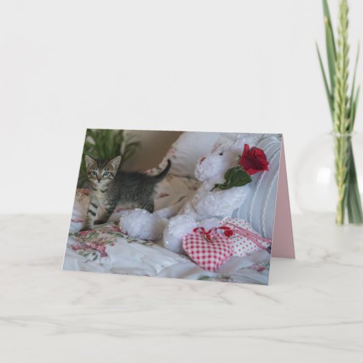 Valentinsgrußkätzchen-Grußkarte Karte (Vorderseite)