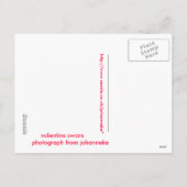 Valentinsgrußschwäne Feiertagspostkarte (Rückseite)