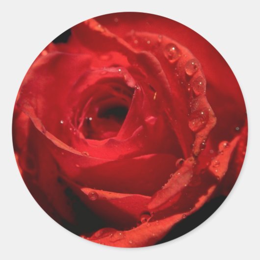 Valentinstag-Aufkleber Runder Aufkleber (Vorderseite)