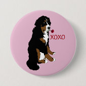 Valentinstag Bernese Mountain Dog Button (Vorderseite)