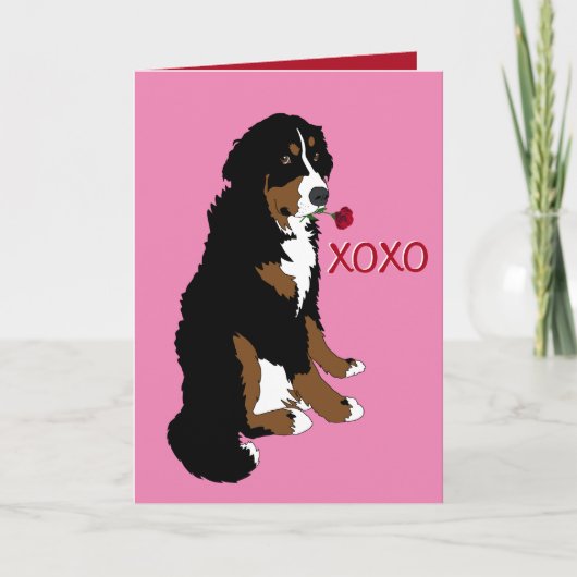Valentinstag Bernese Mountain Dog Karte (Vorderseite)
