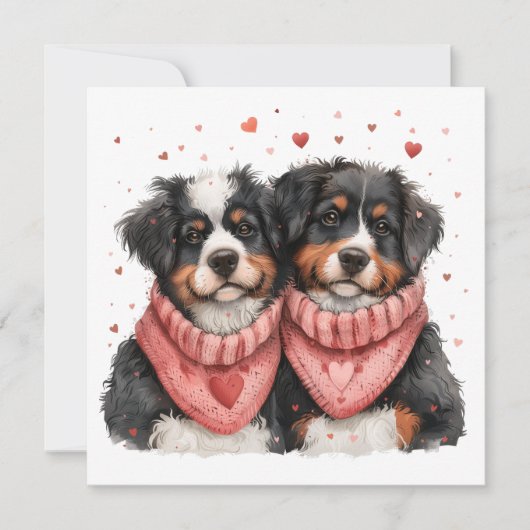 Valentinstag Bernese Mountain Hunde Feiertagskarte (Vorderseite)