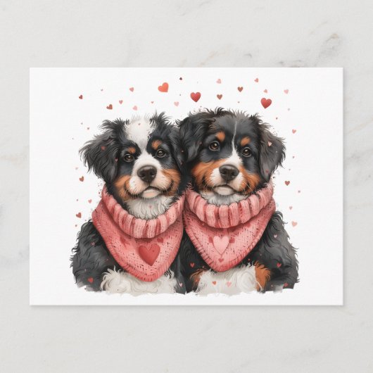 Valentinstag Bernese Mountain Hunde Feiertagspostkarte (Vorderseite)
