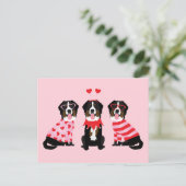Valentinstag Bernese Mountain Hunde Postkarte (Stehend Vorderseite)