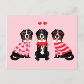 Valentinstag Bernese Mountain Hunde Postkarte (Vorderseite)
