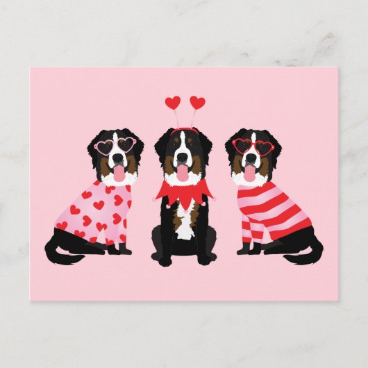Valentinstag Bernese Mountain Hunde Postkarte (Vorderseite)