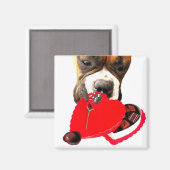 Valentinstag Boxer mit Pralinen Magnet (Vorderseite/Rückseite)