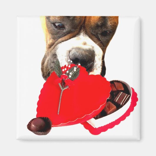 Valentinstag Boxer mit Pralinen Magnet (Vorne)